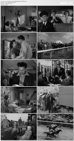 Derby Day 1952 1080p BluRay x265-RARBG