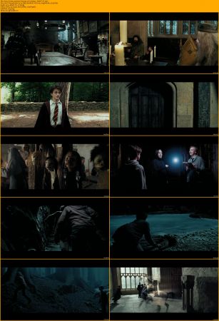 Harry Potter Collection 1080p BRRip x264 AC3 DiVERSiTY