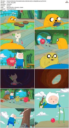 Adventure Time S03 BluRay 1080p x265-PoF