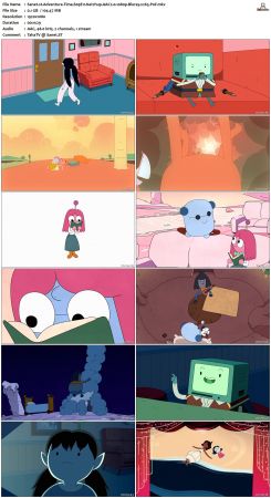 Adventure Time S09 BluRay 1080p x265-PoF