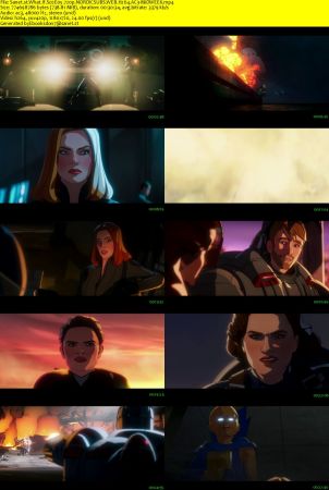 What If S02E05 720p NORDICSUBS WEB H264 AC3-MiDWEEK