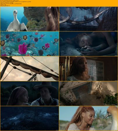 The Little Mermaid Collection 1080p BRRip x264 AC3 DiVERSiTY