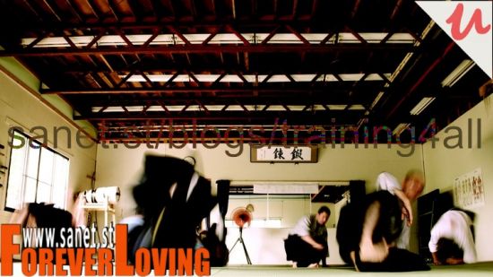 Running A Dojo