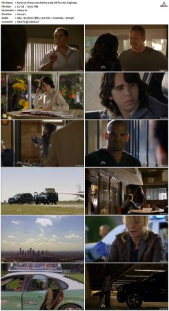 Chase S01 720p HDTV x264 Fugi