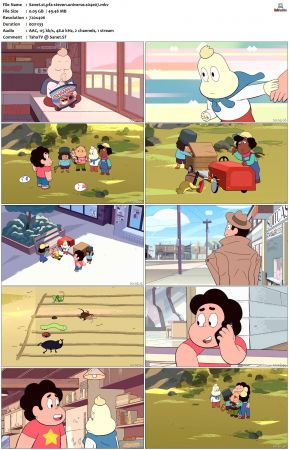 Steven Universe S04 DVDRip x264-PFa