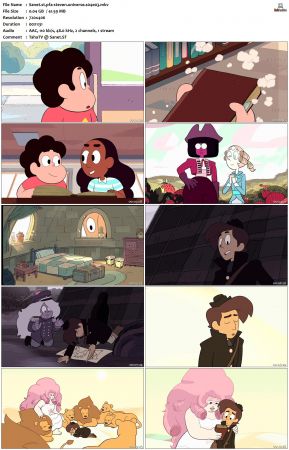 Steven Universe S04 DVDRip x264-PFa