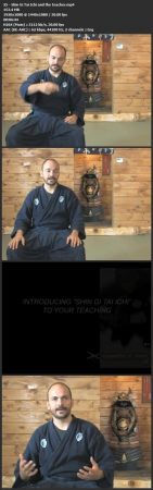 Running A Dojo