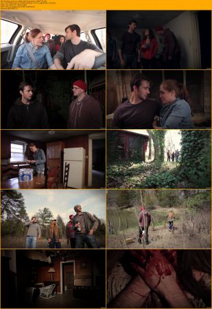 The Hoot Owl 2022 1080p WEB H264-AMORT