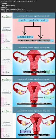 Managing Menopause, Perimenopause Holistically Masterclass