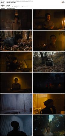 Gretel and Hansel 2020 1080p BluRay x264-SUP3R