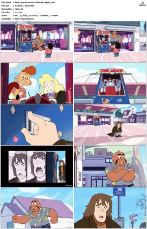 Steven Universe S04 DVDRip x264-PFa