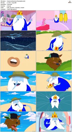 Adventure Time S05 BluRay 1080p x265-PoF