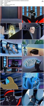 Batman Beyond 1999 S03 Bluray AAC 2 0 x265-PoF