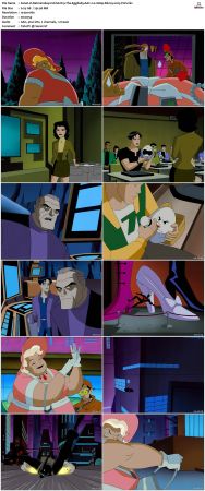 Batman Beyond 1999 S02 Bluray AAC 2 0 1080p x265-PoF