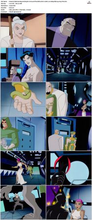 Batman Beyond 1999 S03 Bluray AAC 2 0 x265-PoF