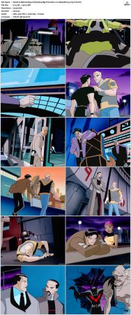 Batman Beyond 1999 S03 Bluray AAC 2 0 x265-PoF