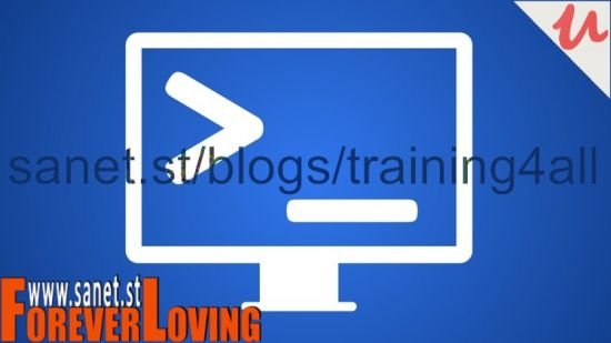 Bash Scripting 1-Hour Crash Course: Write Scripts Today!