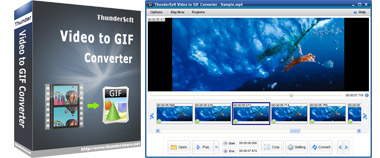Portable ThunderSoft Video to GIF Converter 1.3.1