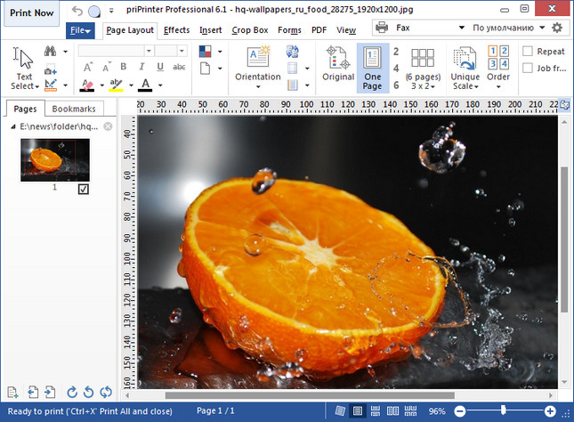priPrinter Professional 6.9.0.2546 for windows instal