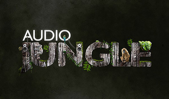 Jungle Audio загрузить