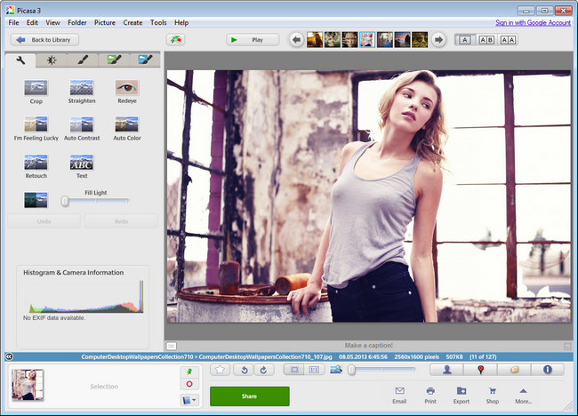 download picasa 3.9 from filehippo
