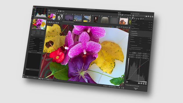 Portable RawTherapee 4.2.3