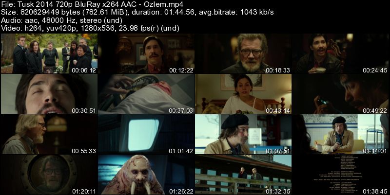 The Scribber 2014 1080p BluRay x264 AAC - Ozlem torrent on