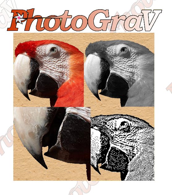 photograv software